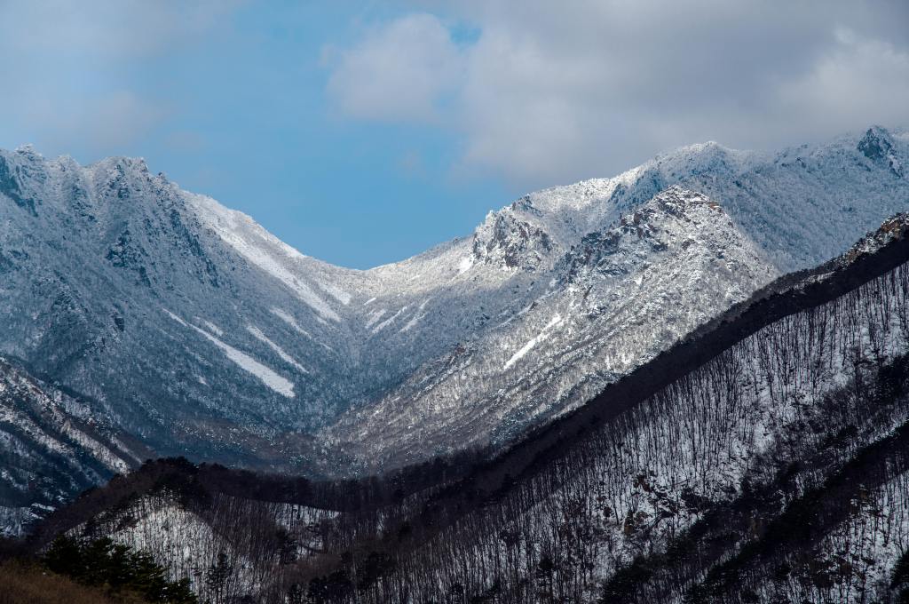 A scenic view of snow-covered mountains in Korea, with trees dusted in white and a crisp winter sky.